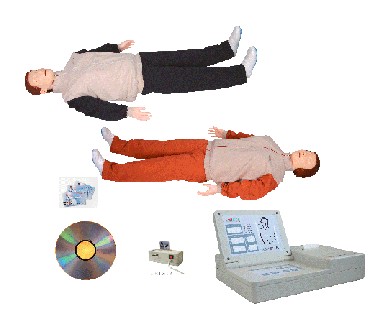 �߼��Զ������ķθ���ģ���ˣ�IC������������