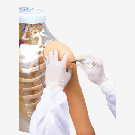 �߼��ϱۼ���ע�估�Ա�ģ��--����⾯ʾϵͳ