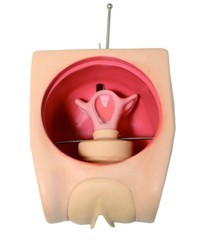 �߼��ƻ�������ѧģ��