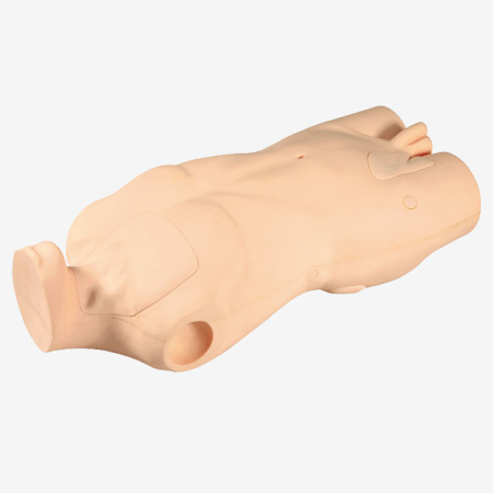 ���ľ�������ע������ģ��