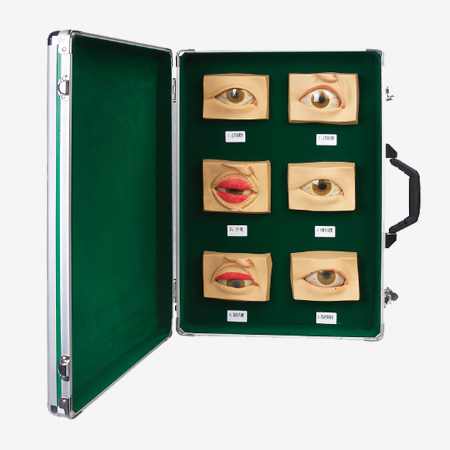 �����۲�ģ�ͣ�20ֻ/�ף�