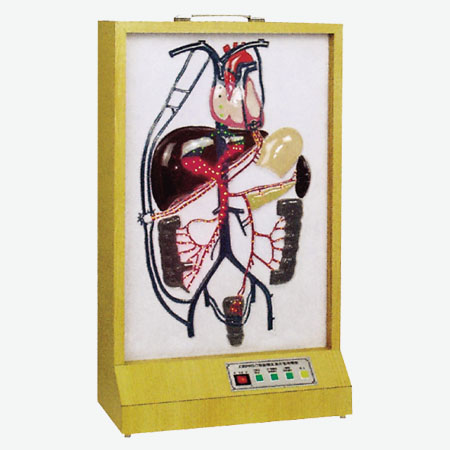 �綯�ž�����֧ѭ��ģ��