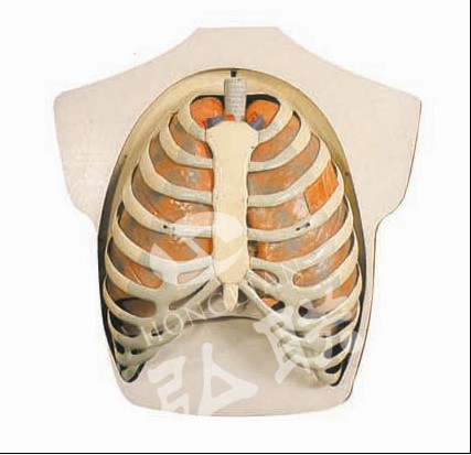 ����ϵͳģ��