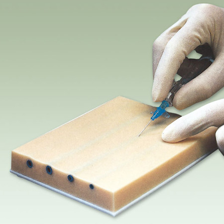 ��������ģ��