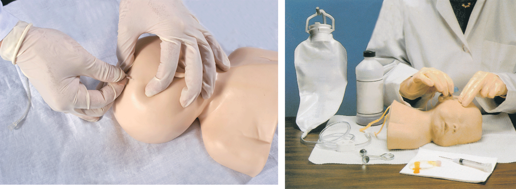 �߼�Ӥ��ͷƤ��������ѵ��ģ��