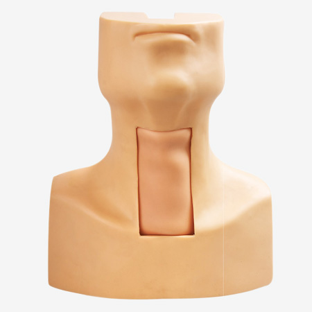 �߼�����Ĥ���̼������п����ѵ��ģ��