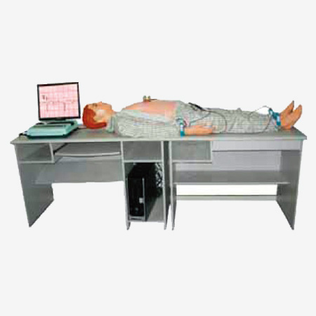 �������������绯�ĵ�ͼģ���ѧϵͳ