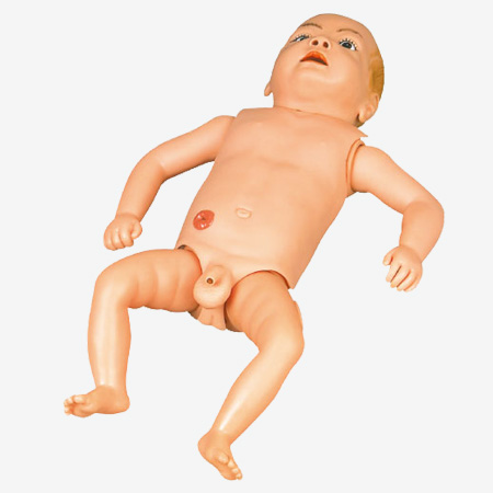 �߼�Ӥ��������ģ��