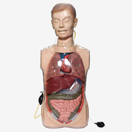 �๦��͸��ϴθѵ��ģ��