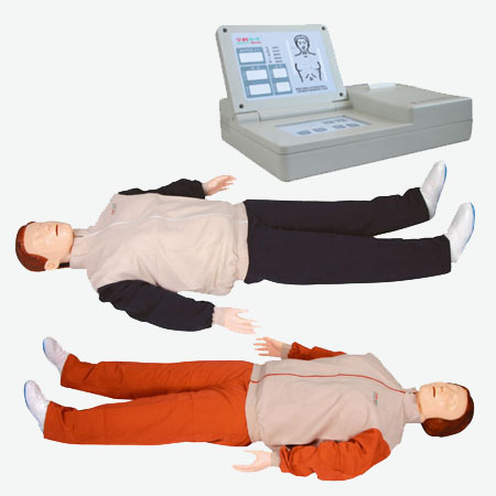 �߼��Զ������ķθ���ģ����