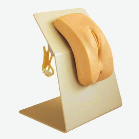 �߼���װʽŮ�Ե���ģ��