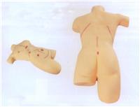 ��Ʒ�ϰ���չʾģ��