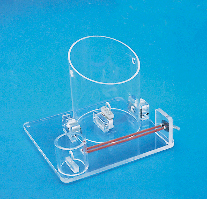 ��ƴ�Ἴ��ѵ��ģ��