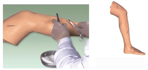 �߼���Ʒ����֫ģ��