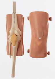 ϥ�ؽھ����ģ��