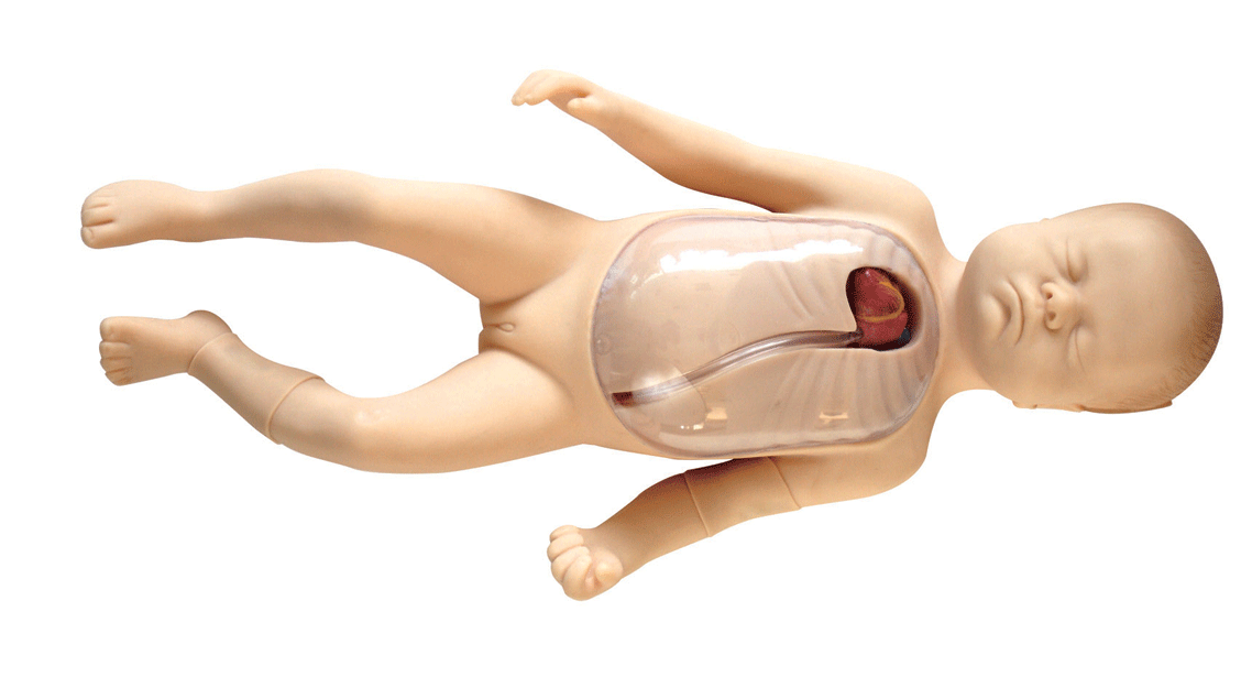 �߼��������������ľ������ģ��