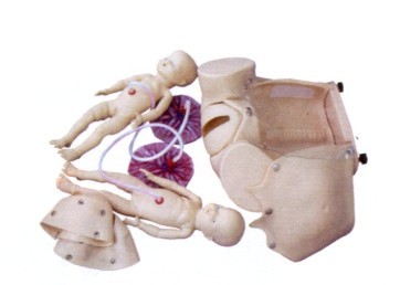 �߼��������ʾ��ģ��