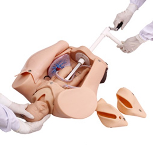 �߼���ҡ�������ʾ��ģ��