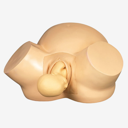 �߼�����ѵ��ģ��