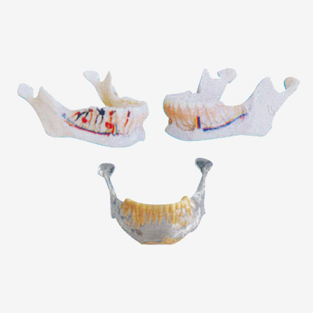 ���ǽ���ģ��