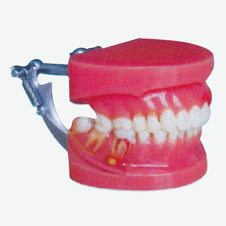 ���ܲ���ʾģ��