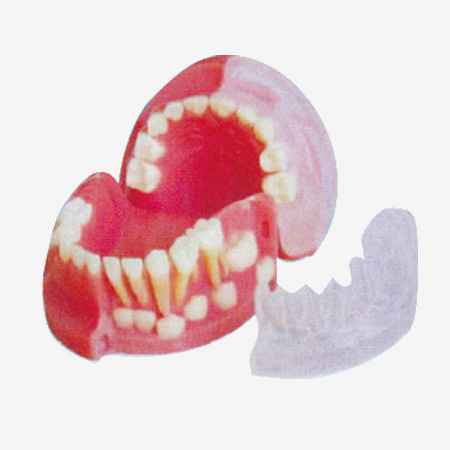 ����������������ģ��