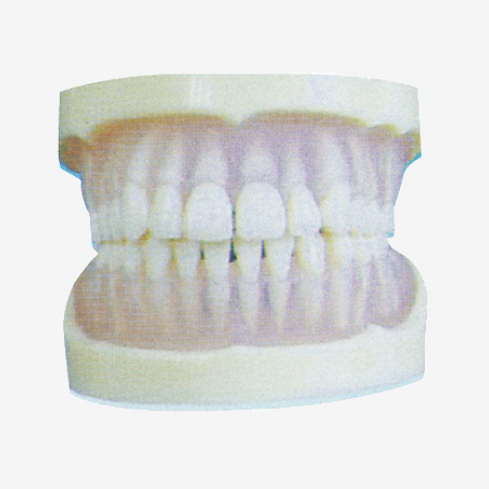 ȫ��͸��������׼ģ��