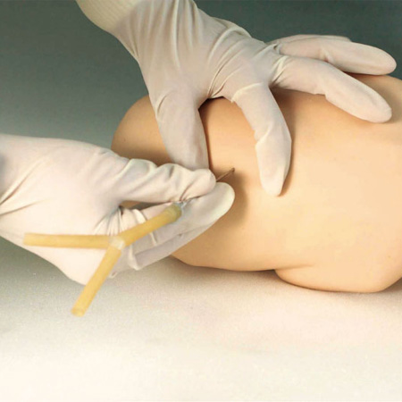 �߼�Ӥ����׵����ģ��