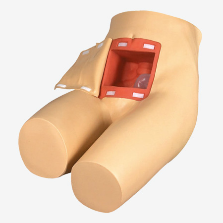 �߼��೦�͸����ű�ѵ��ģ��