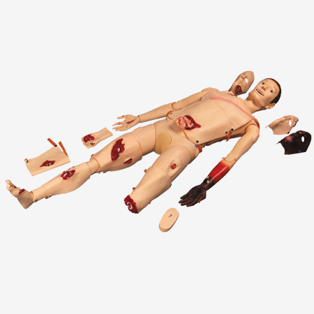 �߼�����ģ��