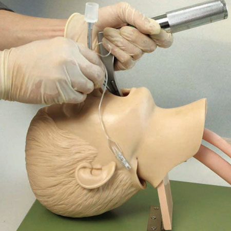 �߼���ͯ���ܲ��ģ��