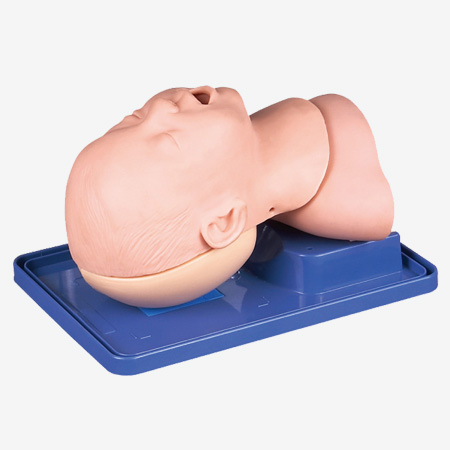 Ӥ�����ܲ��ģ��