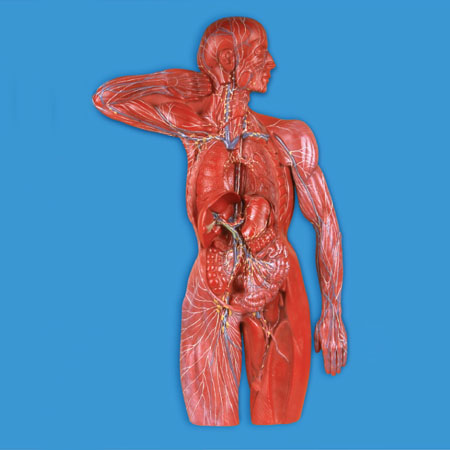 �ܰ�ϵͳģ��