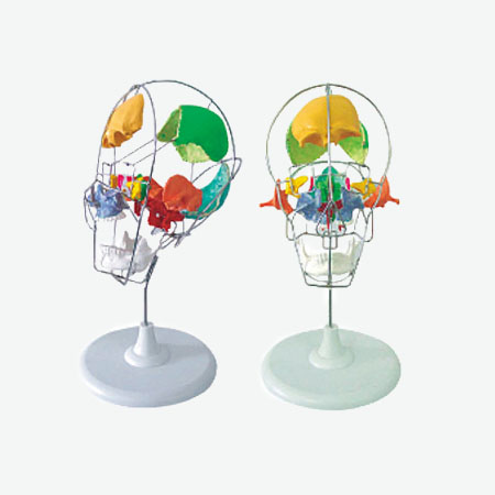 ���˷���ͷ­����ɫģ��