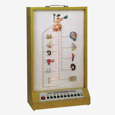 �����ԶԴ���ļ��ض԰��������õ綯ģ��