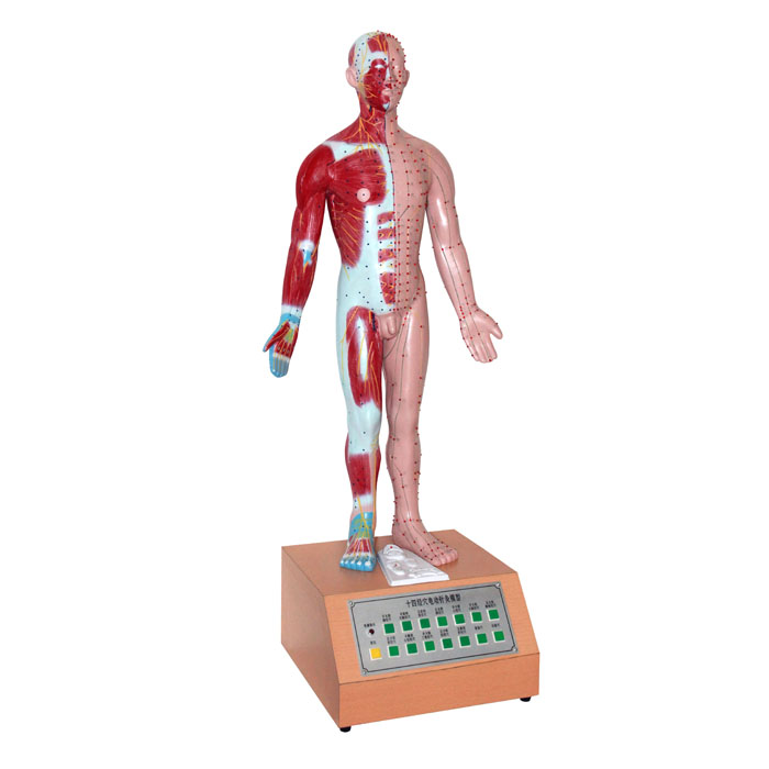 ����ʮ�ľ�Ѩ�綯���ģ��