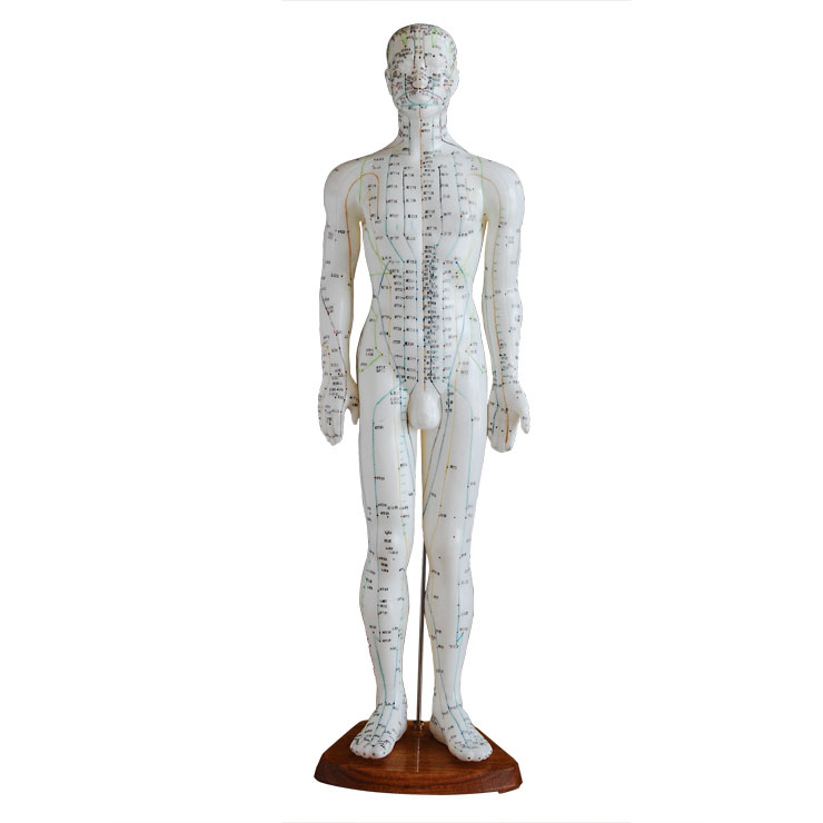 60CM�������ģ��