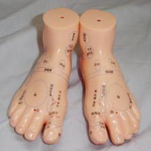 13cm ��Ħ��ģ��(С)