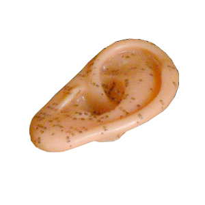 11cm �����ģ��