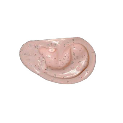 ��Ȼ������ģ��