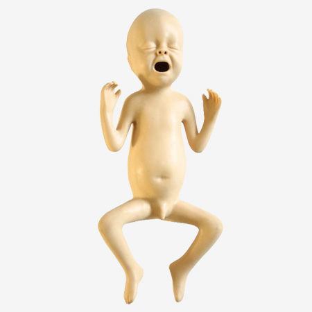 �߼�24�������ģ��