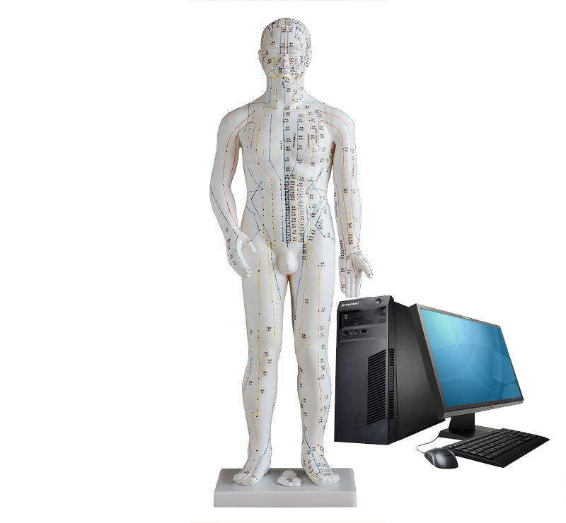 ������������Ѩλģ��