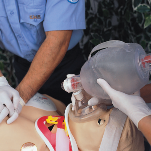 �������ͼ