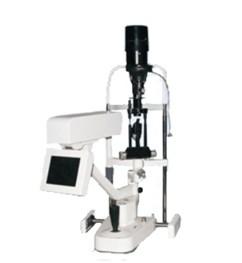 ��Ƶ��϶��